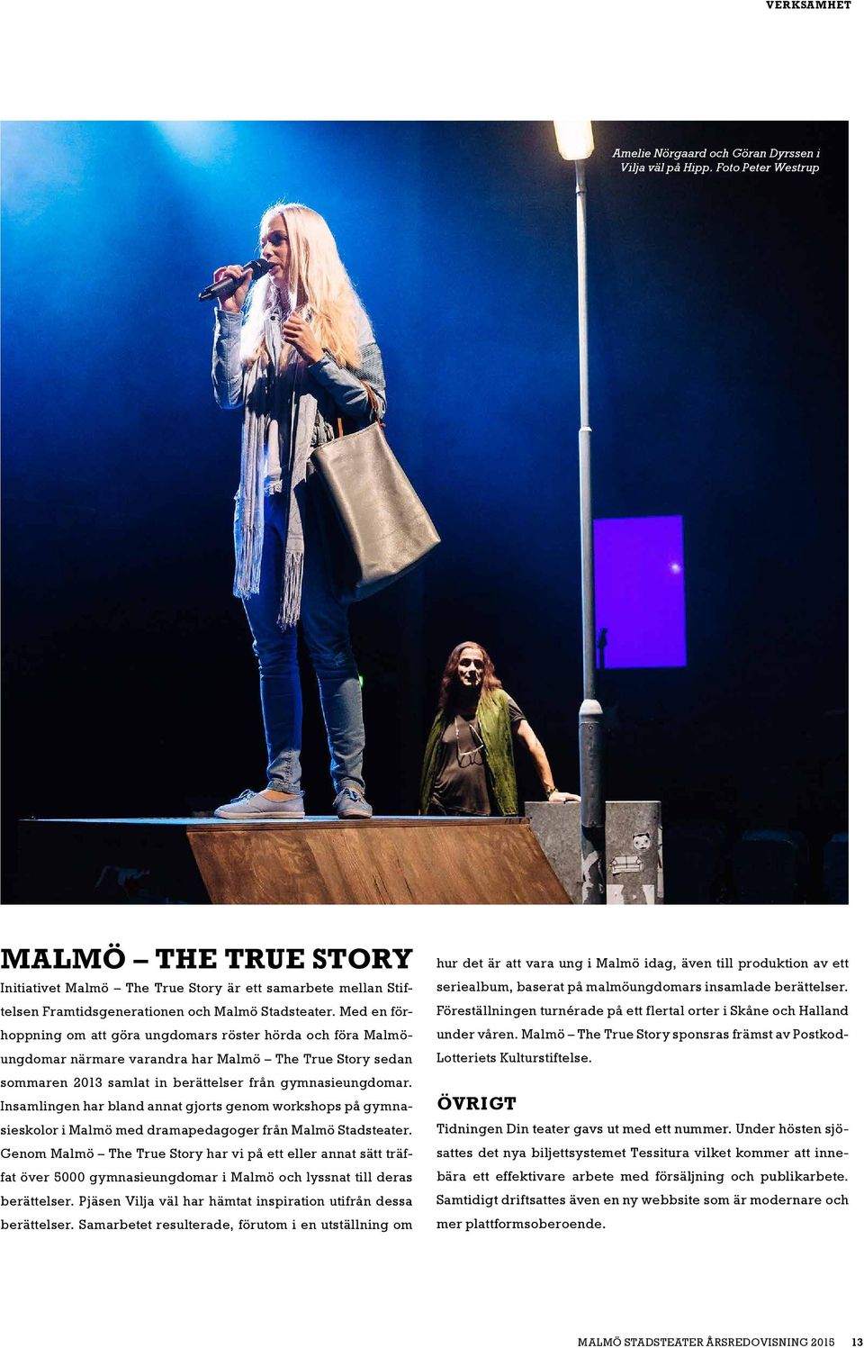 Med en förhoppning om att göra ungdomars röster hörda och föra Malmöungdomar närmare varandra har Malmö The True Story sedan sommaren 2013 samlat in berättelser från gymnasieungdomar.