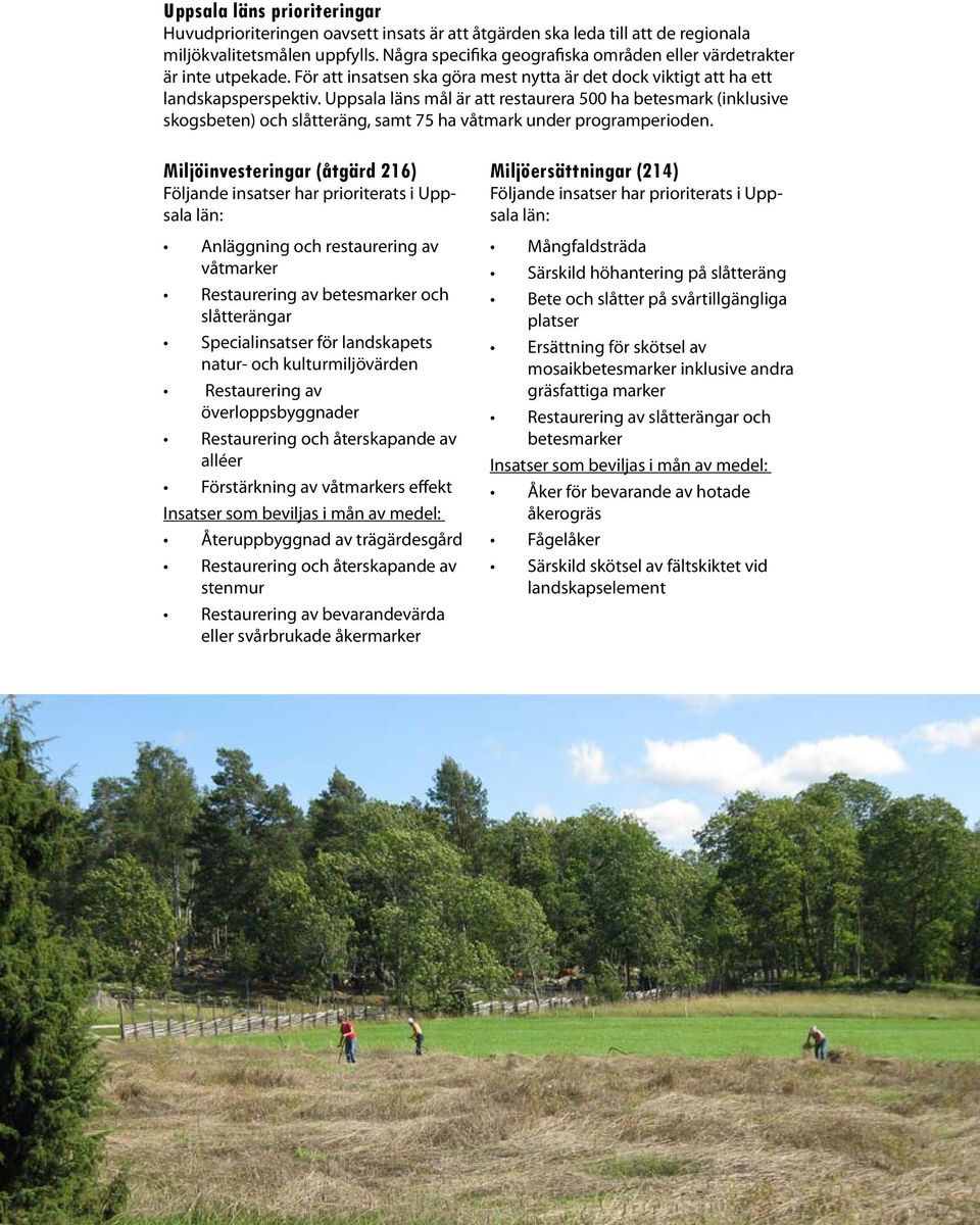 Uppsala läns mål är att restaurera 500 ha betesmark (inklusive skogsbeten) och slåtteräng, samt 75 ha våtmark under programperioden.