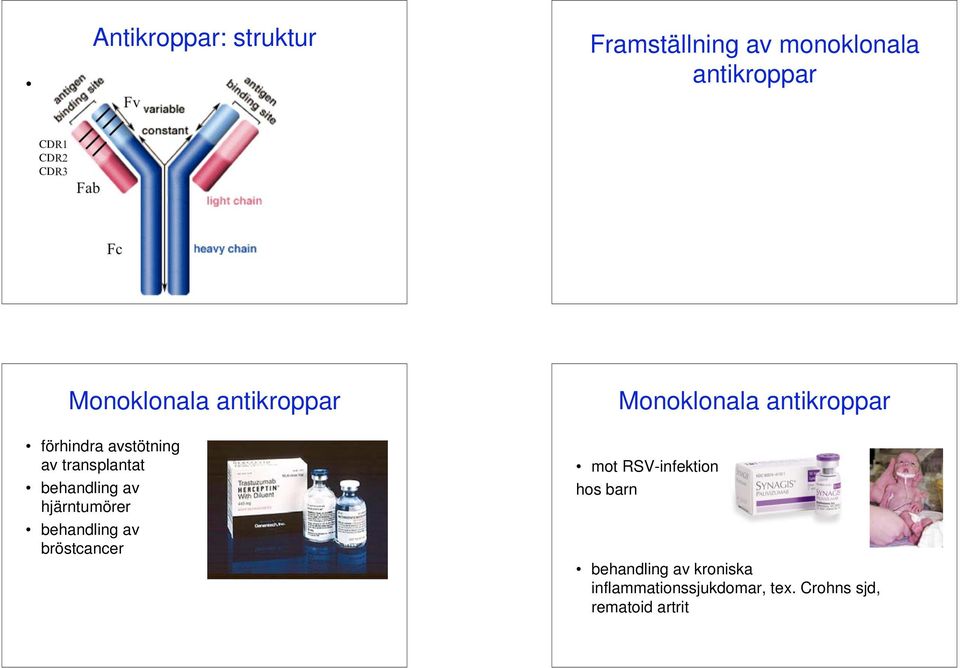 hjärntumörer behandling av bröstcancer Monoklonala antikroppar mot RSV-infektion