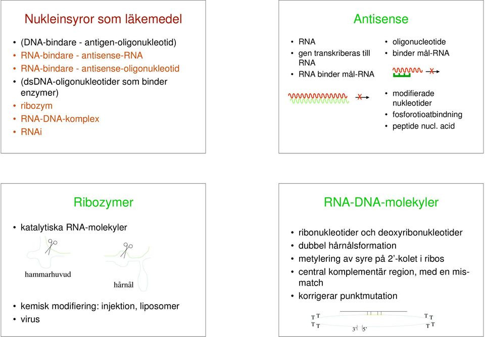 fosforotioatbindning peptide nucl.