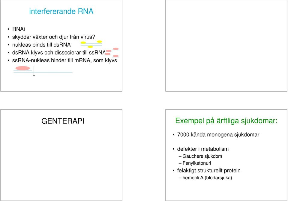 till mrna, som klyvs GENTERAPI Exempel på ärftliga sjukdomar: 7000 kända monogena