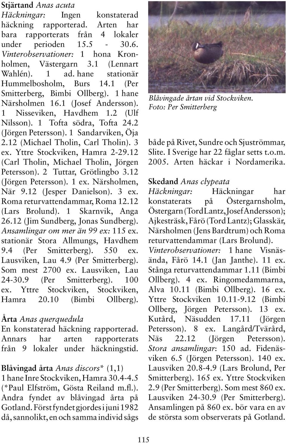 1 Tofta södra, Tofta 24.2 (Jörgen Petersson). 1 Sandarviken, Öja 2.12 (Michael Tholin, Carl Tholin). 3 ex. Yttre Stockviken, Hamra 2-29.12 (Carl Tholin, Michael Tholin, Jörgen Petersson).