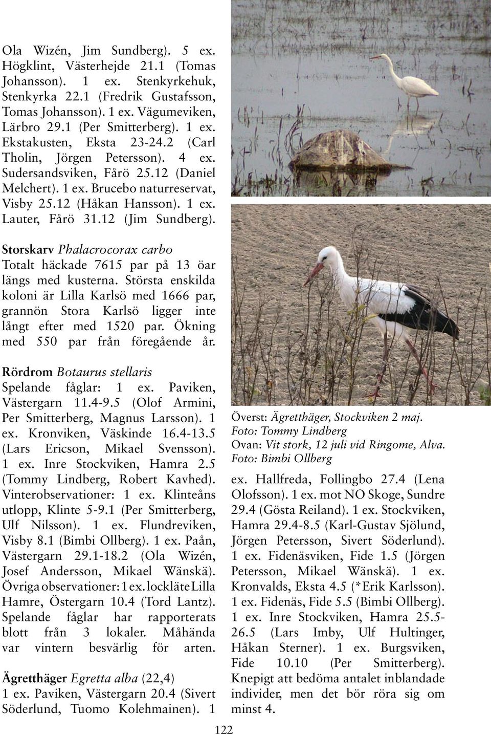 1 ex. Lauter, Fårö 31.12 (Jim Sundberg). Storskarv Phalacrocorax carbo Totalt häckade 7615 par på 13 öar längs med kusterna.