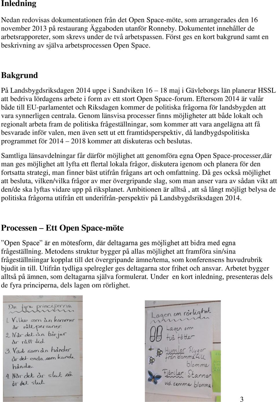 Bakgrund På Landsbygdsriksdagen 2014 uppe i Sandviken 16 18 maj i Gävleborgs län planerar HSSL att bedriva lördagens arbete i form av ett stort Open Space-forum.