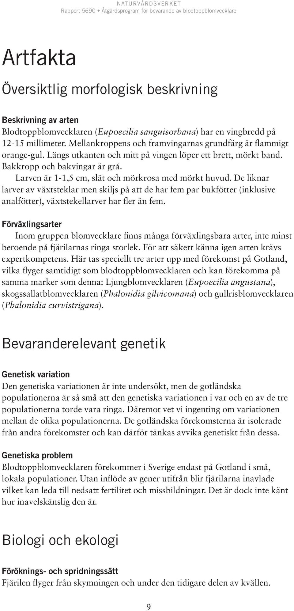 Larven är 1-1,5 cm, slät och mörkrosa med mörkt huvud. De liknar larver av växtsteklar men skiljs på att de har fem par bukfötter (inklusive analfötter), växtstekellarver har fler än fem.