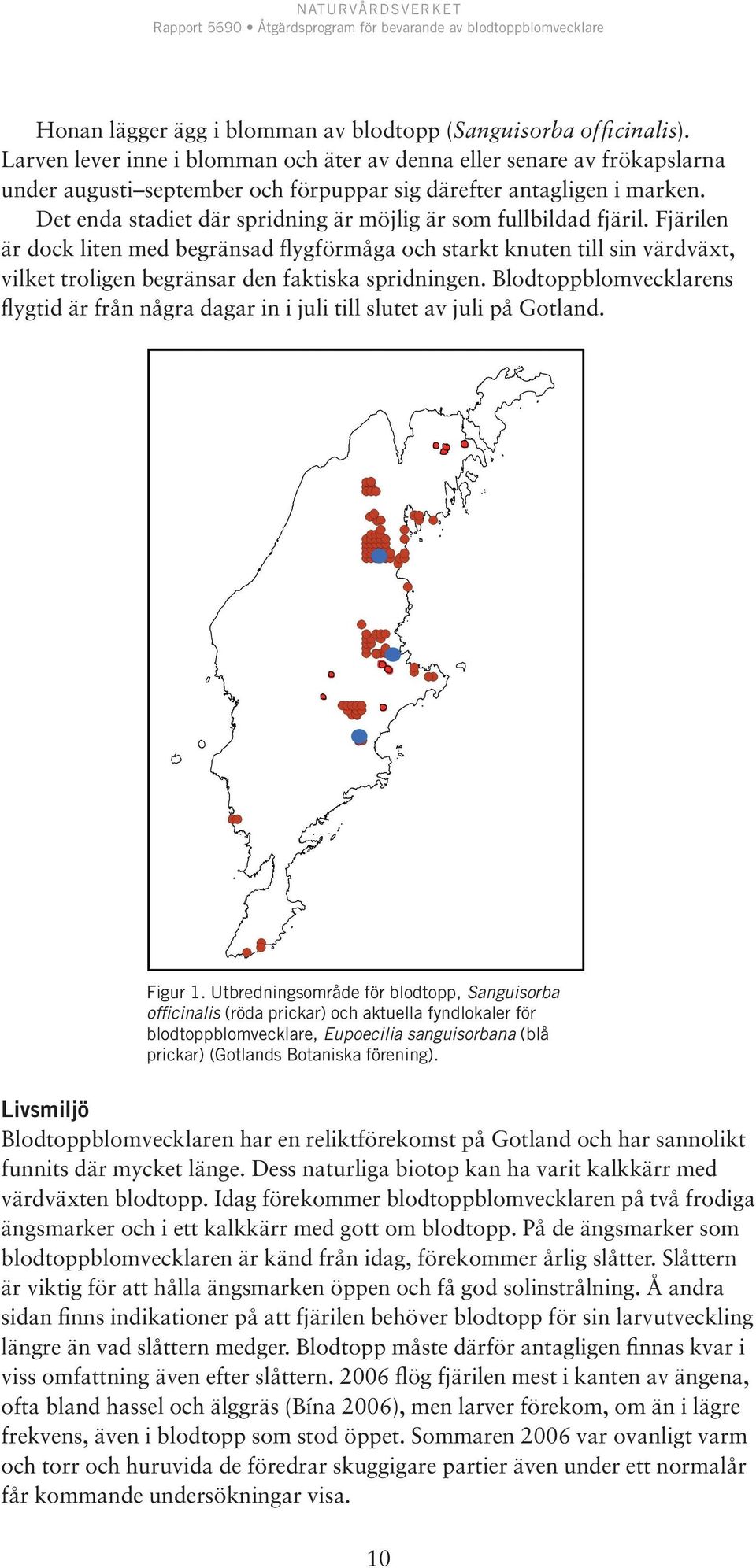 Det enda stadiet där spridning är möjlig är som fullbildad fjäril.