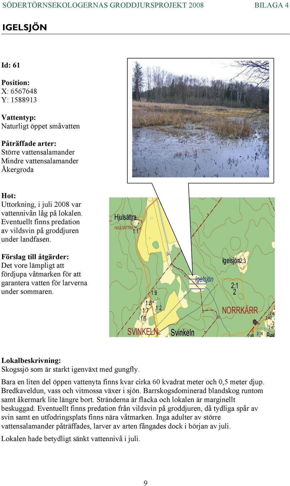 Hjulsättra HJULSÄTTRA : Förslag till åtgärder: Det vore lämpligt att fördjupa våtmarken för att garantera vatten för larverna under sommaren.