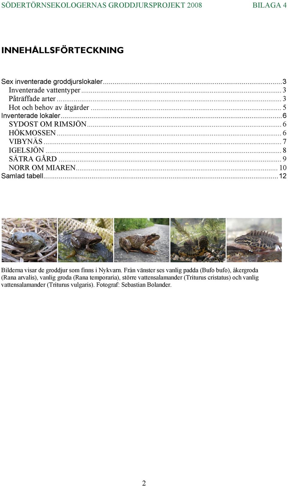 .. NORR OM MIAREN... 0 Samlad tabell... Bilderna visar de groddjur som finns i Nykvarn.