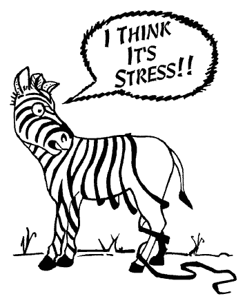 Vad är stress? Stress är ett tillstånd av ökad psykologisk och fysiologisk handlingsberedskap. Det är kroppens sätt att reagera på inre eller yttre faktorer (stressorer) som vi tolkar som hotfulla.