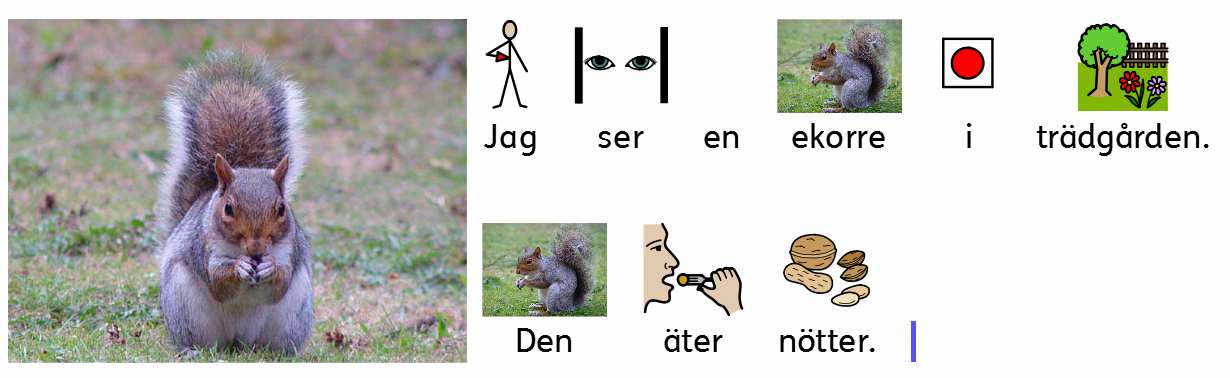 6. Lägga till fler rader inom samma stycke Den infogade bilder hör till stycket.