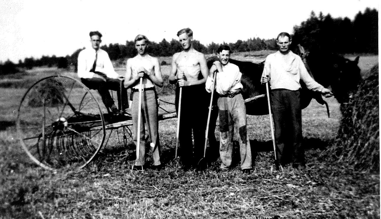 Jordbruket drevs huvudsakligen med hjälp av häst. Höet slogs med slåttermaskinen dragen av en eller två hästar. På de flesta småbruk kom traktorn först på 1950 talet.