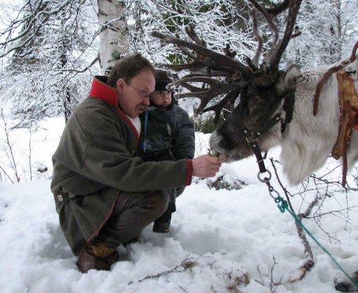 Samerna i Lycksele Lycksele är sedan 2010 en samisk förvaltningskommun. Det är ett uppdrag vi tar på största allvar.