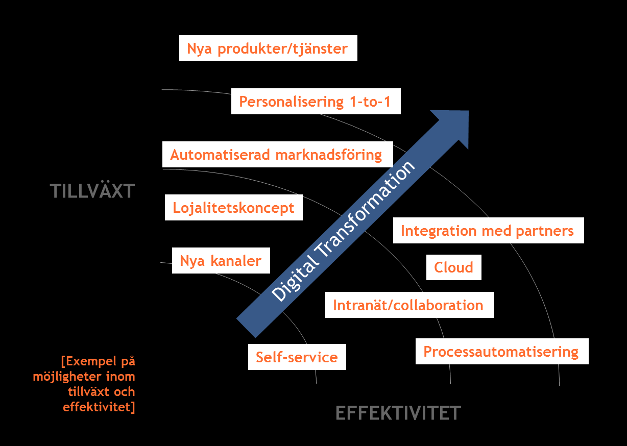 EN DIGITALT FRAMTIDSSÄKRAD STRATEGI HANDLAR OM ATT GÖRA STRATEGISKA VÄGVAL KRING VILKA MÖJLIGHETER SOM SKA REALISERAS FÖR TILLVÄXT Intäktsökning och nya kunder DIGITAL STRATEGI FÖR EFFEKTIVITET Ökad