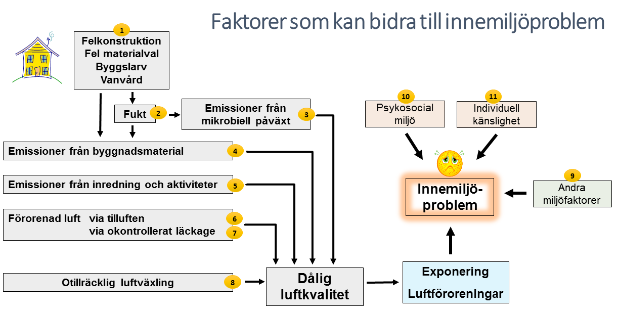 Figur 5. Faktorer som kan bidra till brukarnas innemiljöproblem. Siffrorna hänvisar till motsvarande avsnitt i texten.