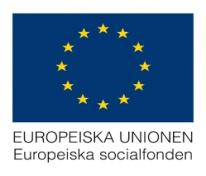 ÖVERGRIPANDE MÅL: Etablera en regional stödplattform för validering i Skåne - Innebärande Ökat utbud av validering Ökad tillgänglighet till validering Gemensamt utvecklingsarbete avseende validering