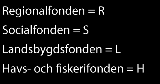 Fondernas mål och