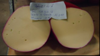 Skyddskulturer Referens. Utan tillsats av LC4P1. Frystorkad direktkultur innehållande en blandning av olika Lactobacillus casei stammar som inhiberar Clostridium ssp.