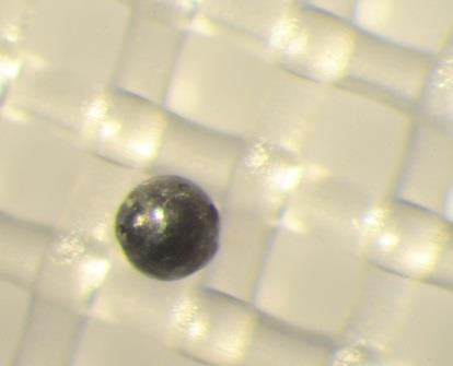 A B C D Figur 11. Skräpkategorier påträffade i dagvattensediment. Filtrets maskvidd är 300 µm. Figur A B visar asfaltsliknande partiklar.