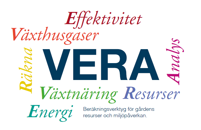 Rapport :