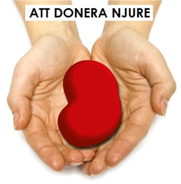 Informationsbroschyr om ATT DONERA EN NJURE Denna broschyr