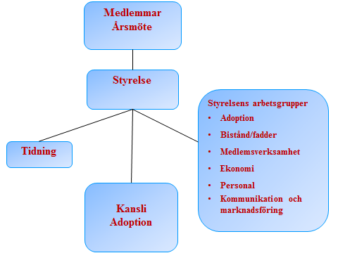 Allmänt om verksamheten Barnen Framför Allt (BFA) är en ideell förening som arbetar inom tre verksamhetsgrenar. Förmedling av internationella adoptioner, bistånd och fadderskap.