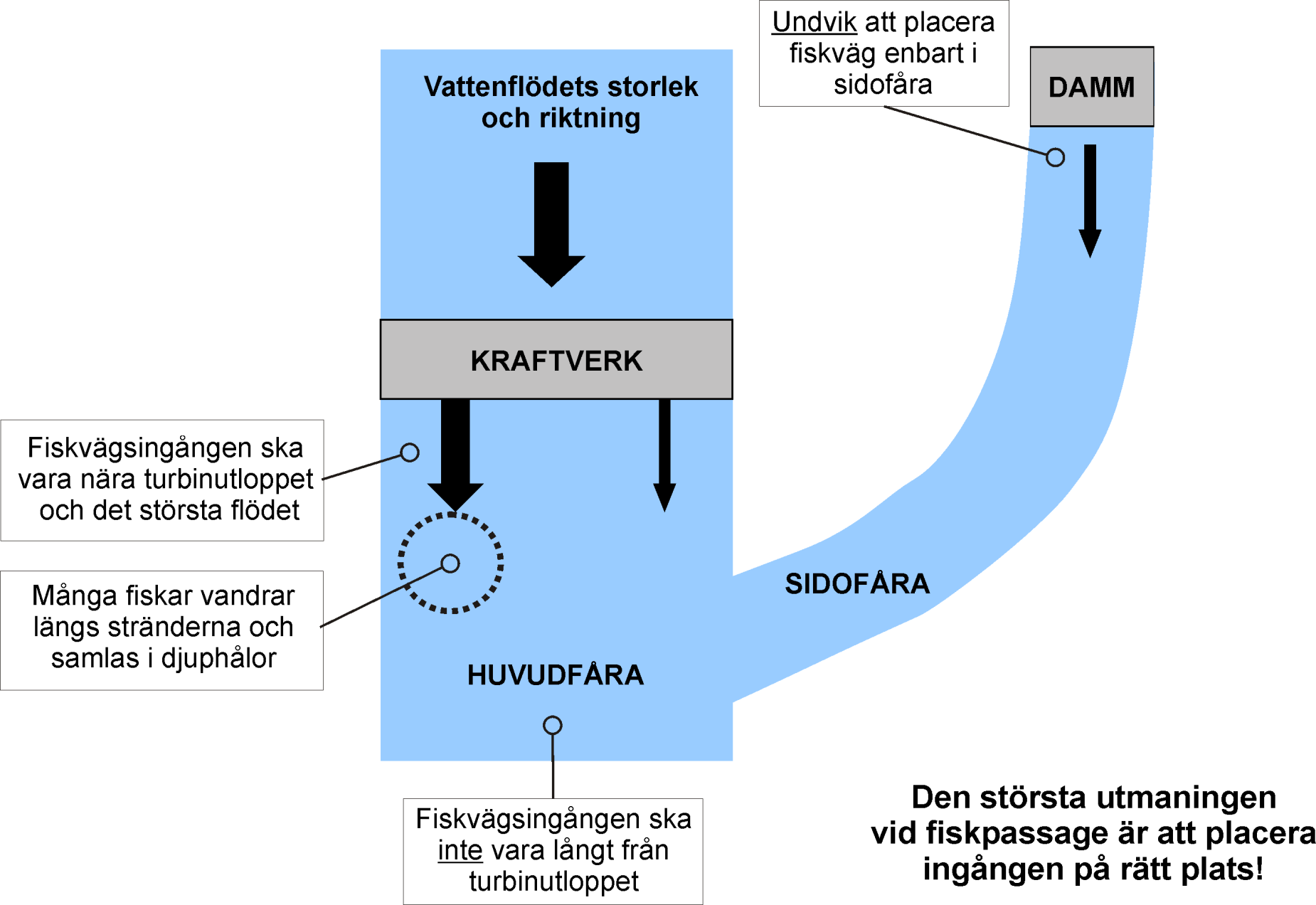 CGÖ (2012) Calles, Gustafsson &