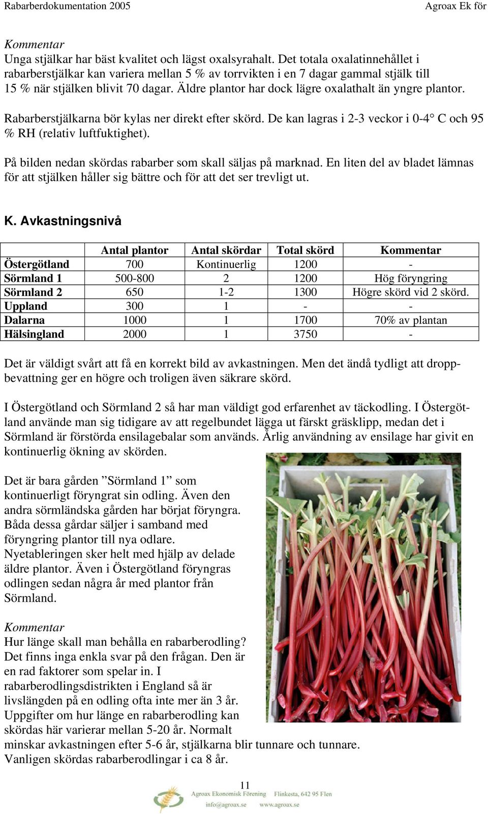 Äldre plantor har dock lägre oxalathalt än yngre plantor. Rabarberstjälkarna bör kylas ner direkt efter skörd. De kan lagras i 2-3 veckor i 0-4 C och 95 % RH (relativ luftfuktighet).