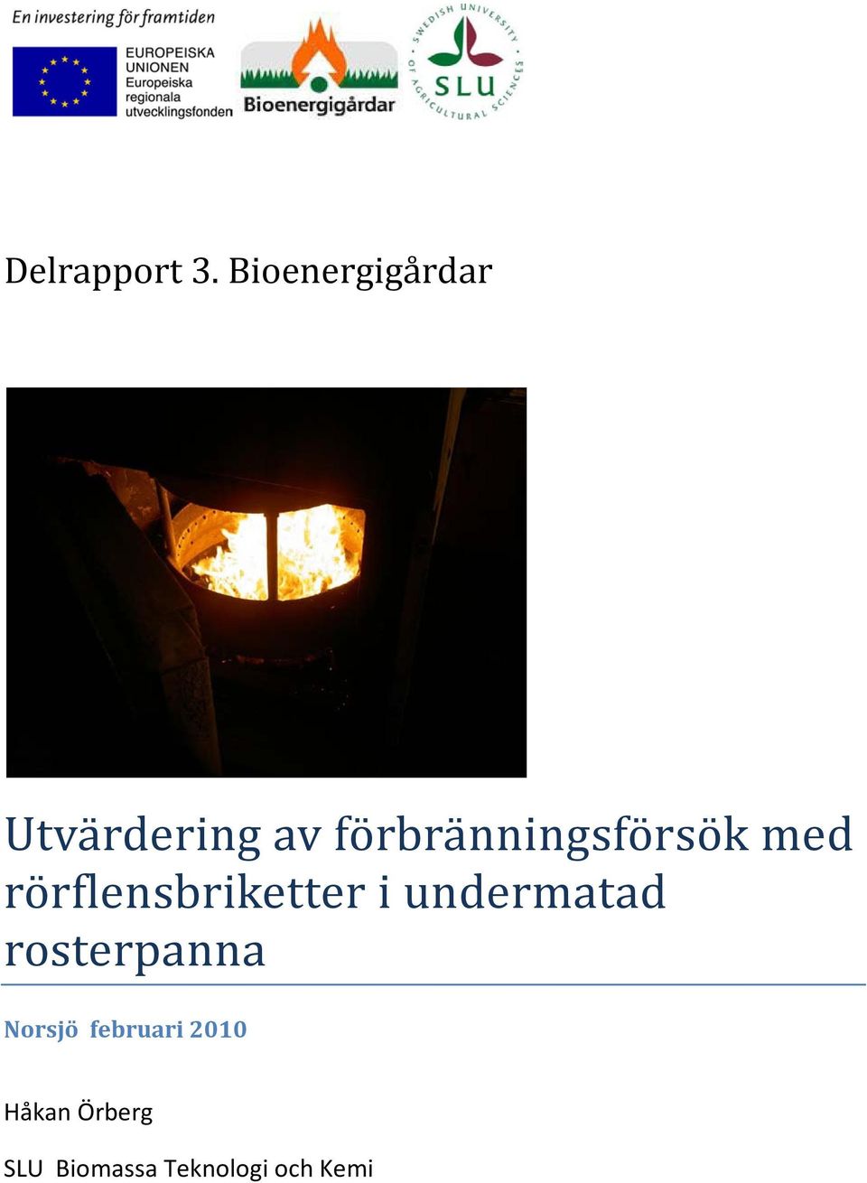 förbränningsförsök med rörflensbriketter i