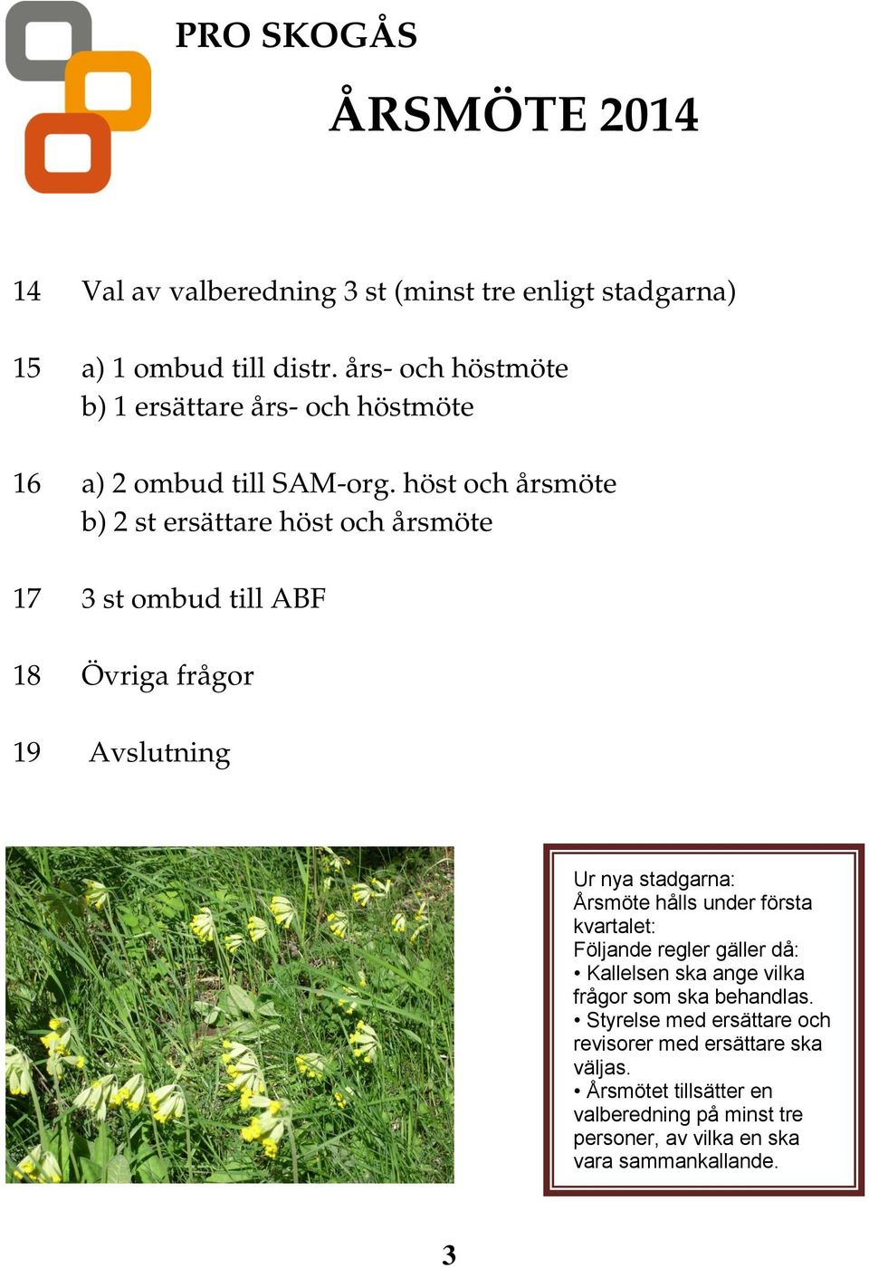 höst och årsmöte b) 2 st ersättare höst och årsmöte 17 3 st ombud till ABF 18 Övriga frågor 19 Avslutning Ur nya stadgarna: Årsmöte hålls under