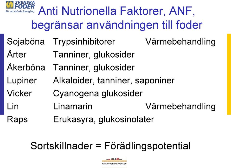 glukosider Lupiner Alkaloider, tanniner, saponiner Vicker Cyanogena glukosider Lin