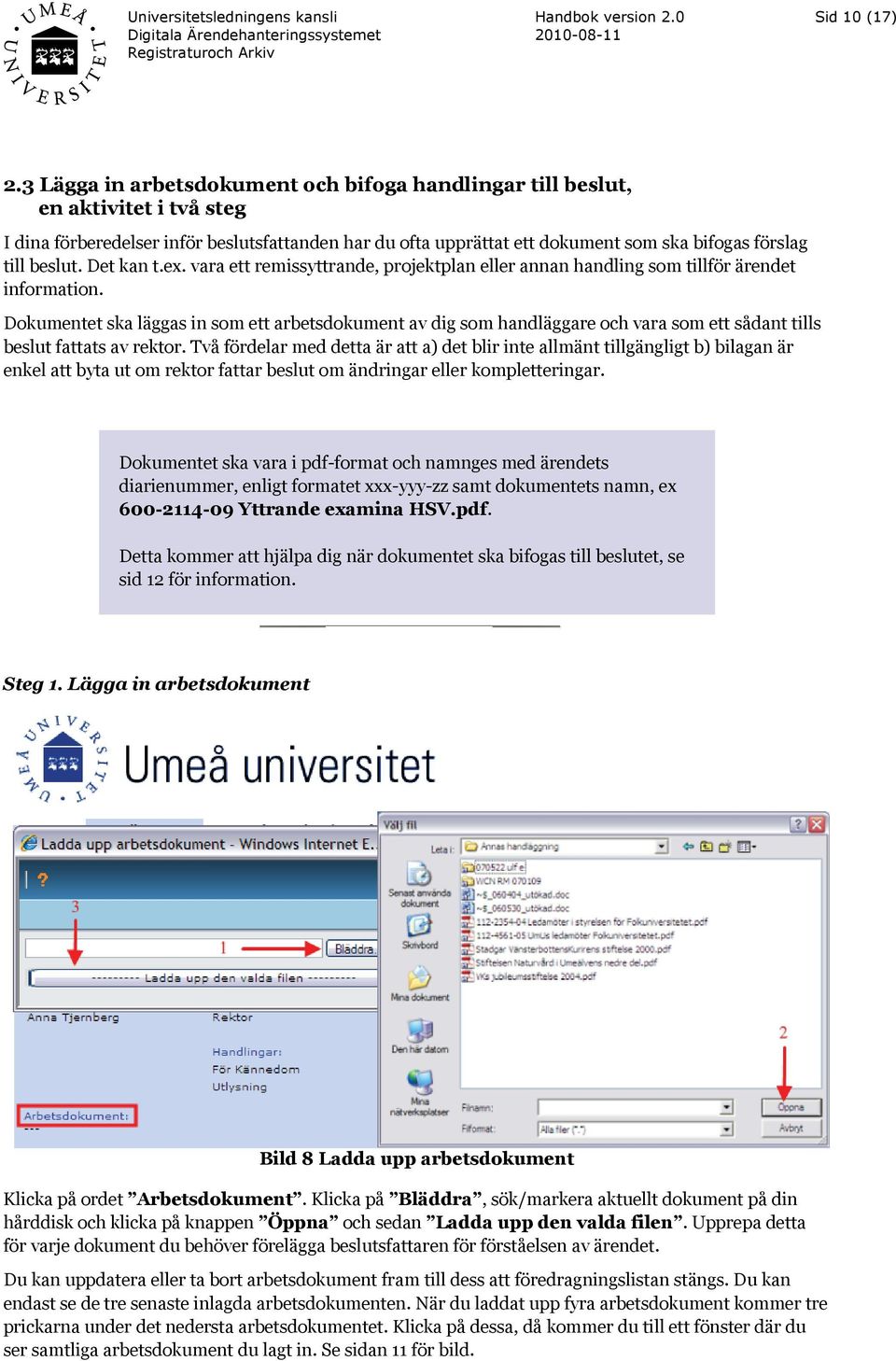 Det kan t.ex. vara ett remissyttrande, projektplan eller annan handling som tillför ärendet information.