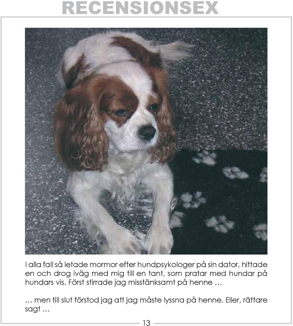 hundar på hundars vis.