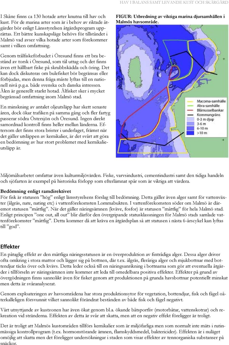 Genom trålfiskeförbudet i Öresund finns ett bra bestånd av torsk i Öresund, som tål uttag och det finns även ett hållbart fiske på skrubbskädda och öring.
