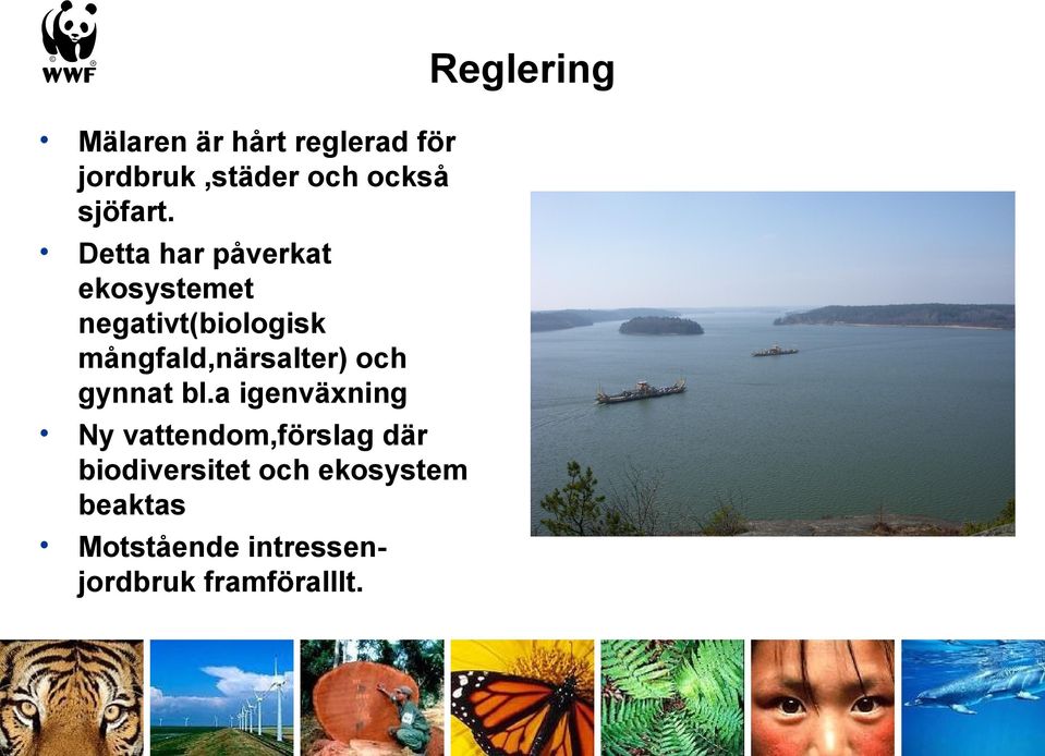 Detta har påverkat ekosystemet negativt(biologisk