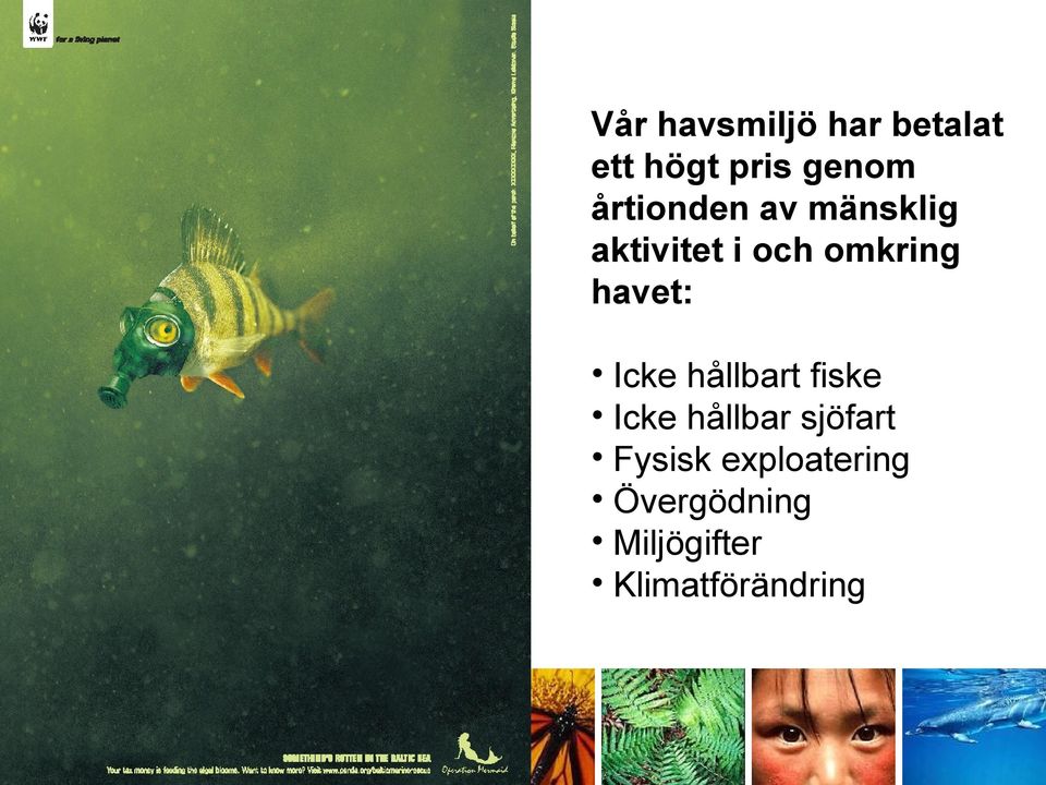 havet: Icke hållbart fiske Icke hållbar sjöfart