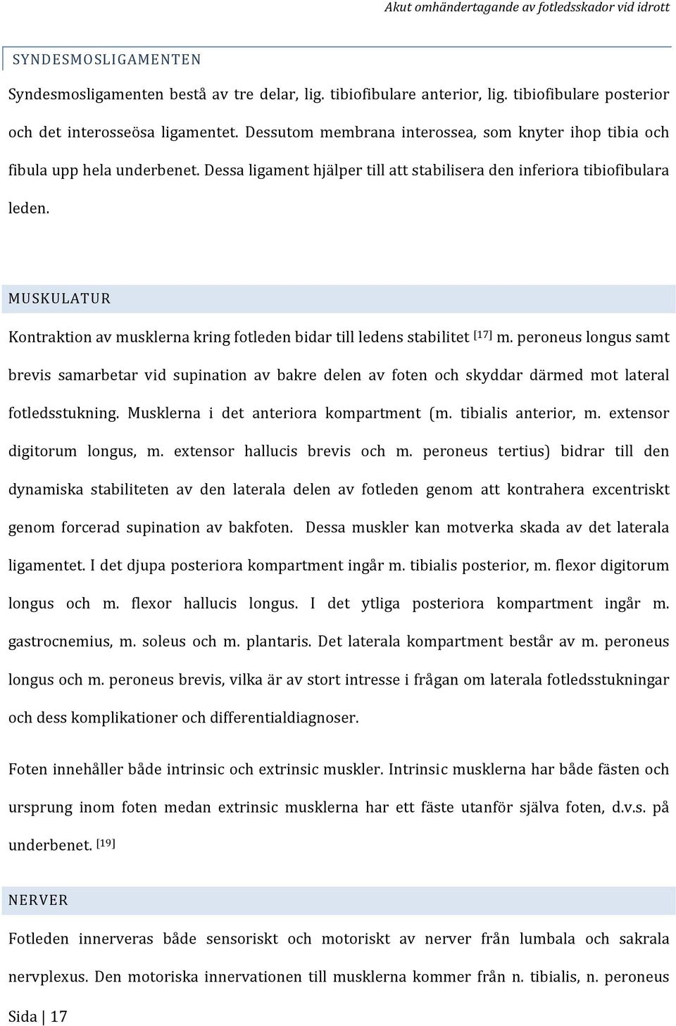 MUSKULATUR Kontraktion av musklerna kring fotleden bidar till ledens stabilitet [17] m.