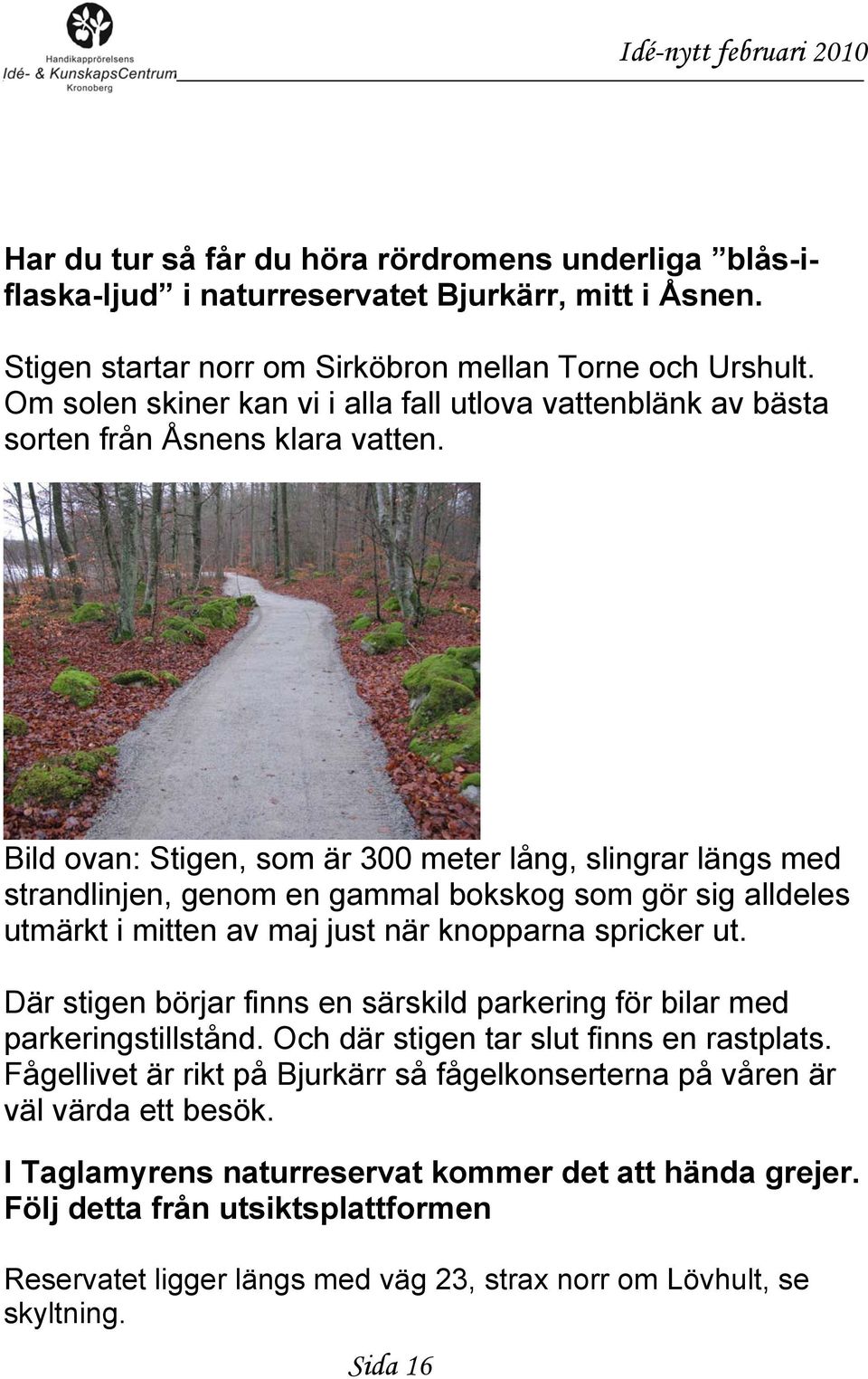 Bild ovan: Stigen, som är 300 meter lång, slingrar längs med strandlinjen, genom en gammal bokskog som gör sig alldeles utmärkt i mitten av maj just när knopparna spricker ut.