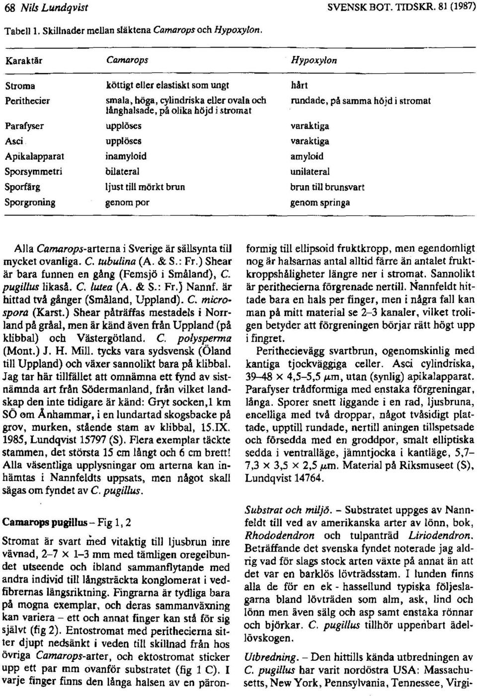 bilateral ljust till mörkt brun genom por Hypoxylon hårt rundade, på samma höjd i stramat varaktiga varaktiga amyloid unilateral brun till brunsvart genom springa Alla Camarops-arterna i Sverige är