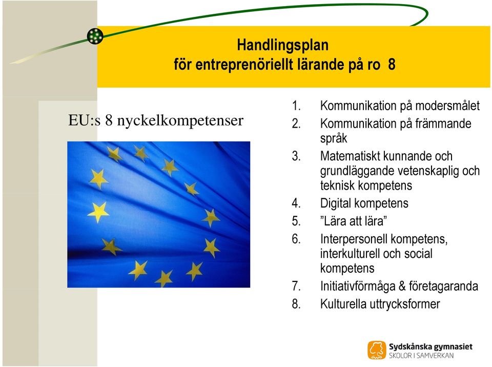 Matematiskt kunnande och grundläggande vetenskaplig och teknisk kompetens 4.