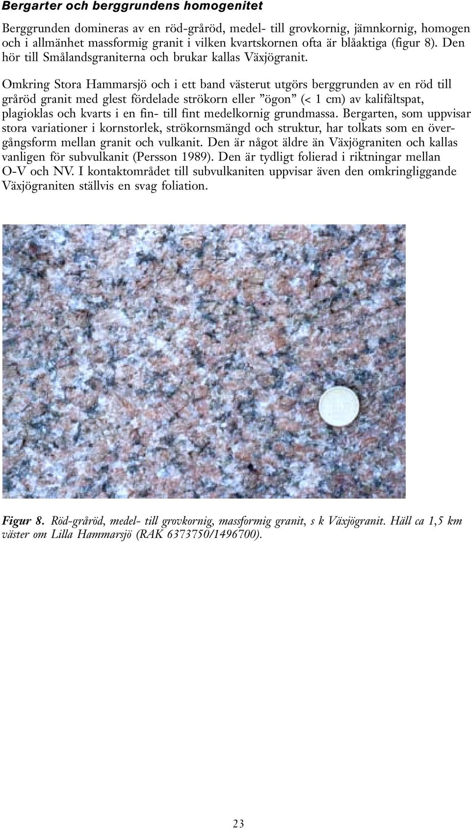 Omkring Stora Hammarsjö och i ett band västerut utgörs berggrunden av en röd till gråröd granit med glest fördelade strökorn eller ögon (< 1 cm) av kalifältspat, plagioklas och kvarts i en fin- till