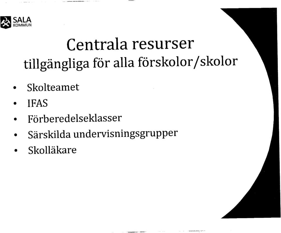 Särskilda undervisningsgrupper