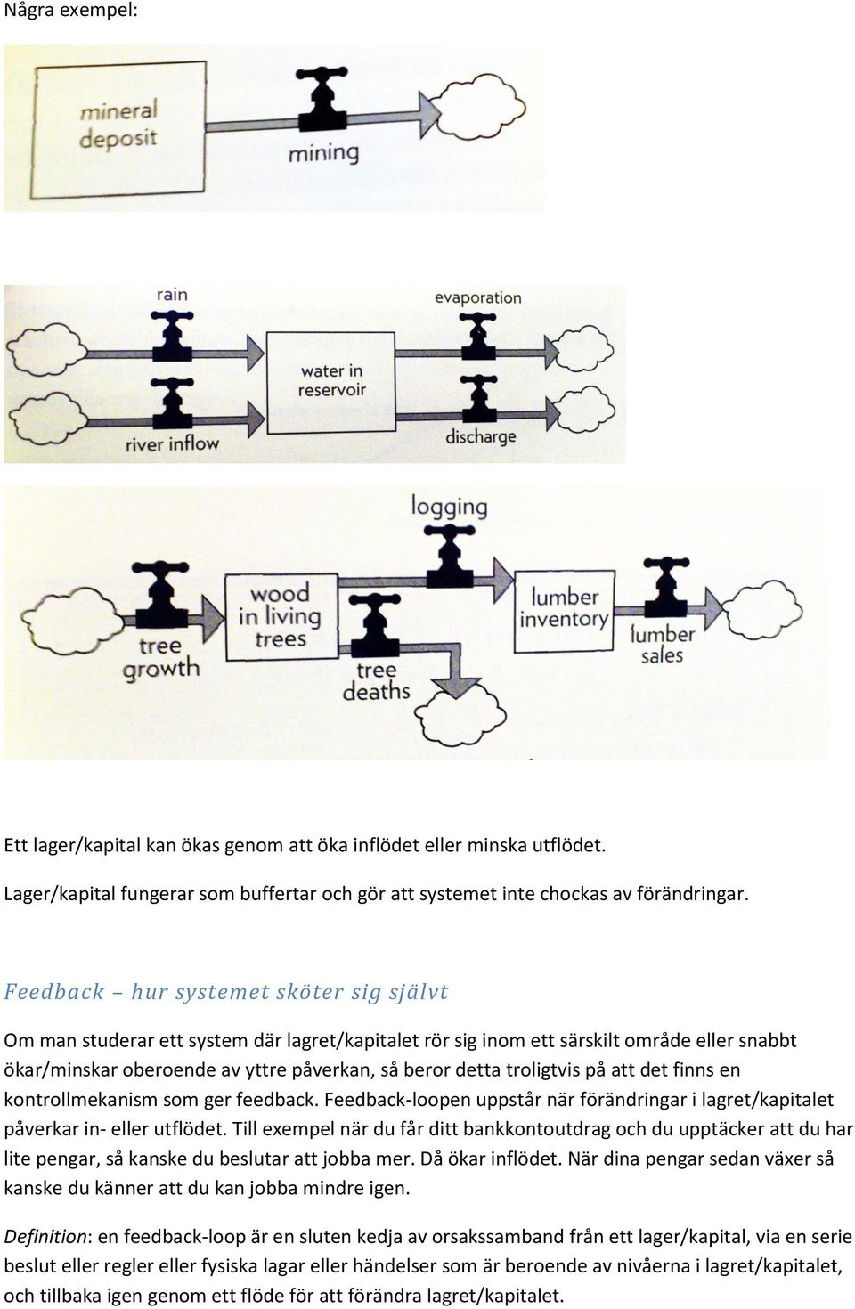 troligtvis på att det finns en kontrollmekanism som ger feedback. Feedback-loopen uppstår när förändringar i lagret/kapitalet påverkar in- eller utflödet.