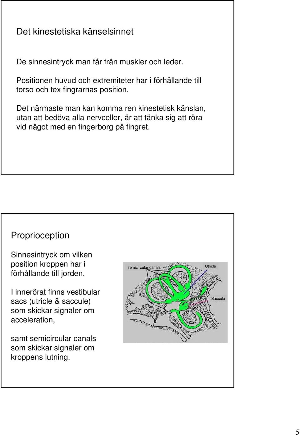Det närmaste man kan komma ren kinestetisk känslan, utan att bedöva alla nervceller, är att tänka sig att röra vid något med en fingerborg på fingret.