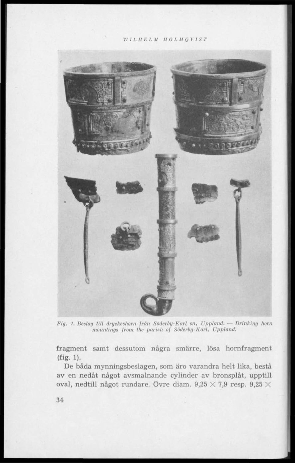 fragment samt dessutom några smärre, lösa hornfragment (fig- 1).