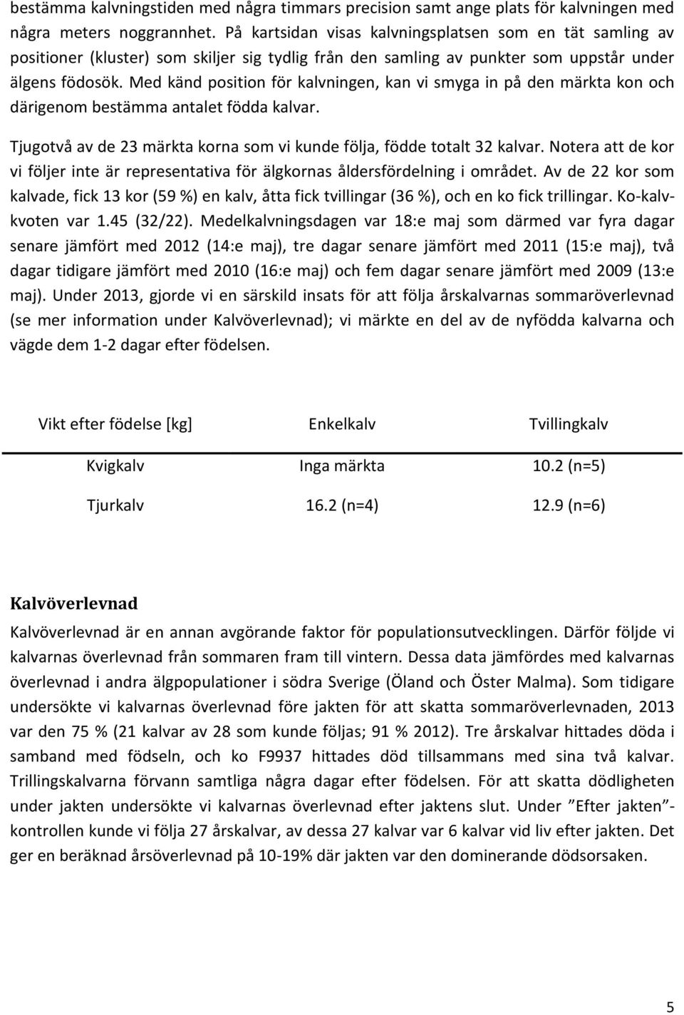 Med känd position för kalvningen, kan vi smyga in på den märkta kon och därigenom bestämma antalet födda kalvar. Tjugotvå av de 23 märkta korna som vi kunde följa, födde totalt 32 kalvar.