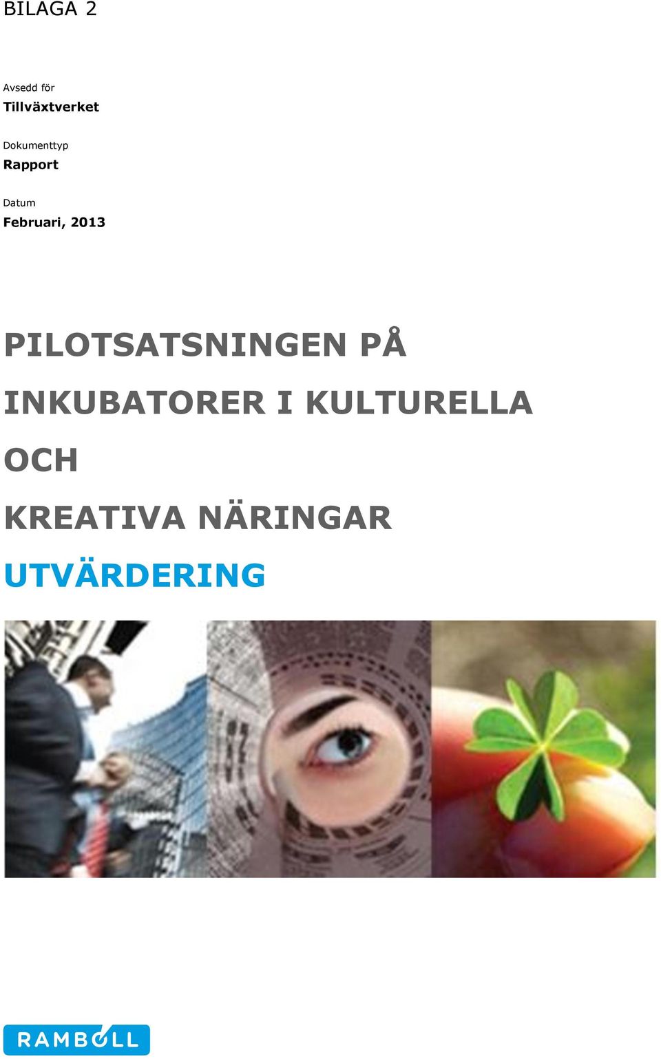 2013 PILOTSATSNINGEN PÅ INKUBATORER I