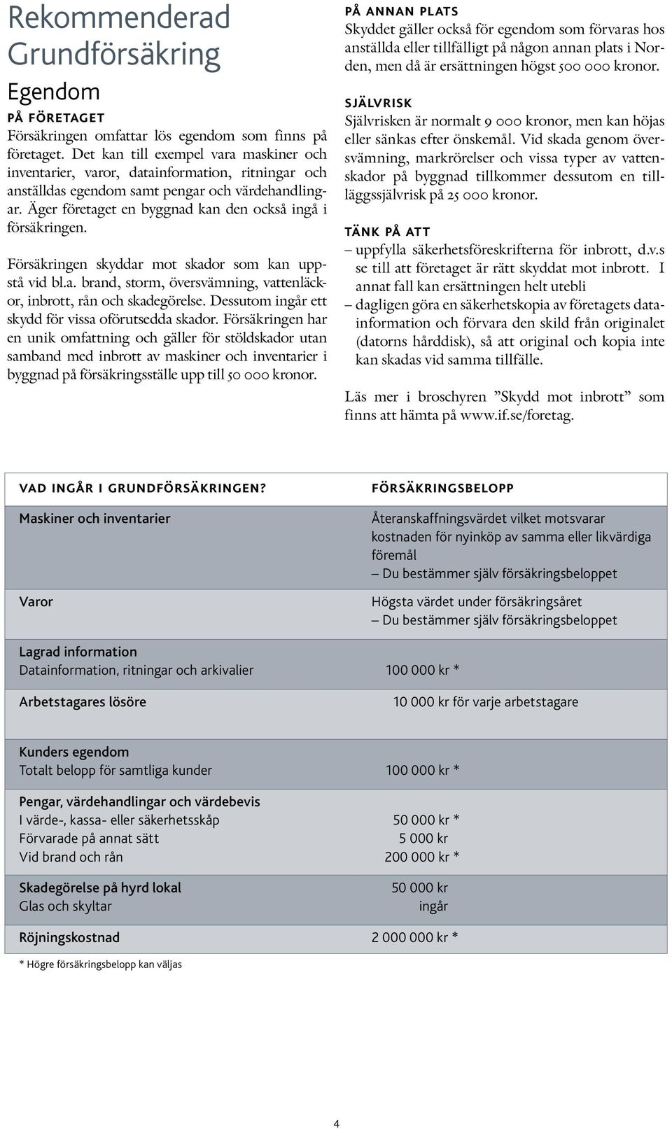 Äger företaget en byggnad kan den också ingå i försäkringen. Försäkringen skyddar mot skador som kan uppstå vid bl.a. brand, storm, översvämning, vattenläckor, inbrott, rån och skadegörelse.