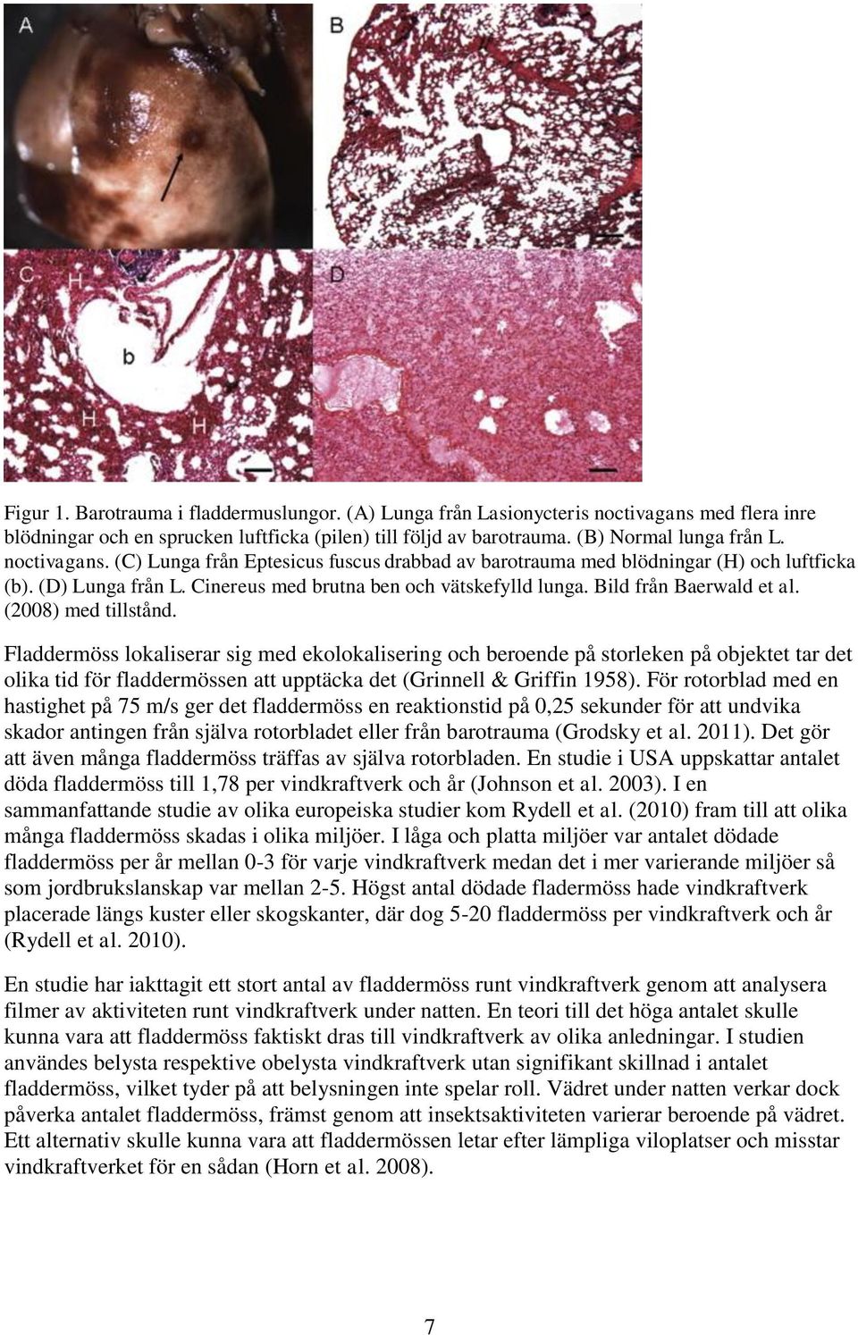 (2008) med tillstånd. Fladdermöss lokaliserar sig med ekolokalisering och beroende på storleken på objektet tar det olika tid för fladdermössen att upptäcka det (Grinnell & Griffin 1958).