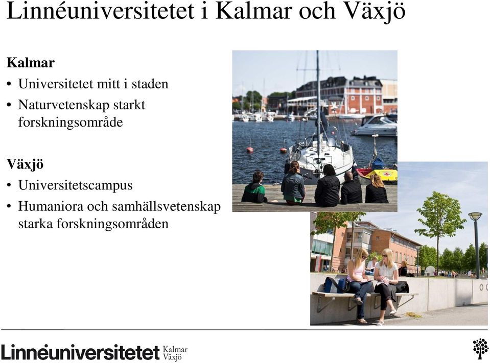 starkt forskningsområde Växjö Universitetscampus