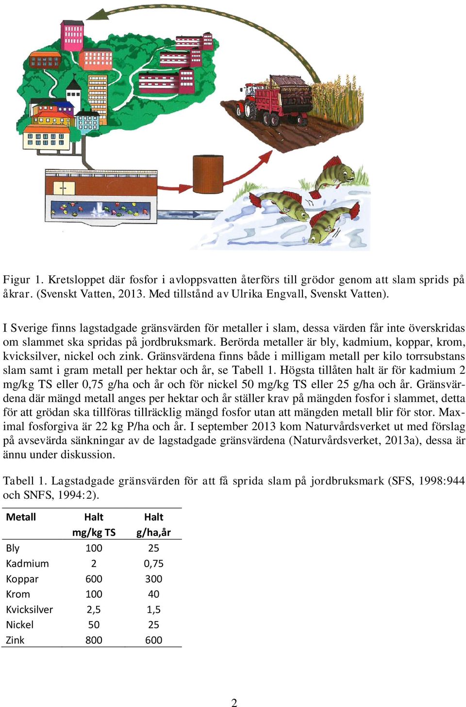 Berörda metaller är bly, kadmium, koppar, krom, kvicksilver, nickel och zink. Gränsvärdena finns både i milligam metall per kilo torrsubstans slam samt i gram metall per hektar och år, se Tabell 1.